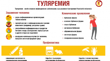 Меры профилактики туляремии