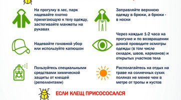 Памятка. Иксодовые клещи.